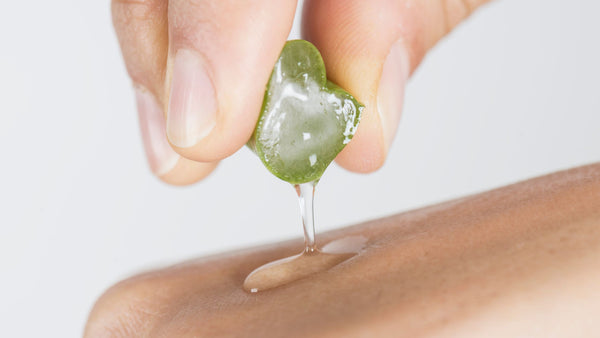 Aloe Vera Allure: Nature's Gift for Soothing and Radiant Skin